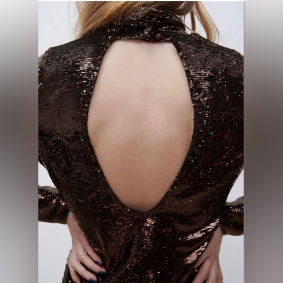 Zara Metallic Brown Sequin Dress - Picture 6 of 11